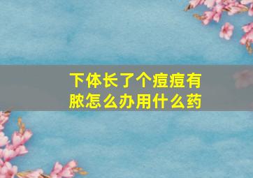 下体长了个痘痘有脓怎么办用什么药