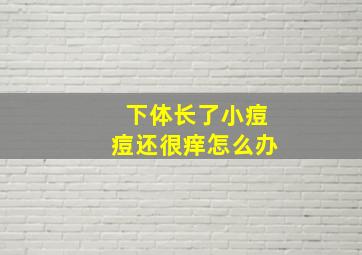 下体长了小痘痘还很痒怎么办