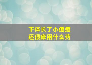 下体长了小痘痘还很痒用什么药