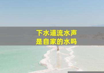 下水道流水声是自家的水吗