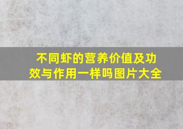 不同虾的营养价值及功效与作用一样吗图片大全