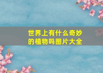 世界上有什么奇妙的植物吗图片大全