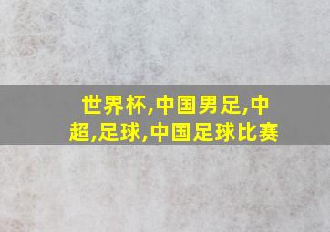 世界杯,中国男足,中超,足球,中国足球比赛