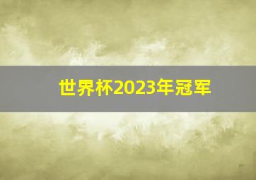 世界杯2023年冠军