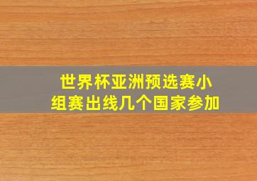 世界杯亚洲预选赛小组赛出线几个国家参加