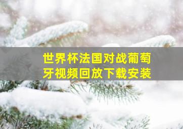 世界杯法国对战葡萄牙视频回放下载安装