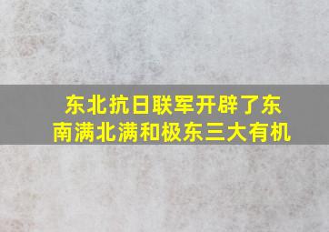 东北抗日联军开辟了东南满北满和极东三大有机