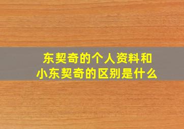 东契奇的个人资料和小东契奇的区别是什么