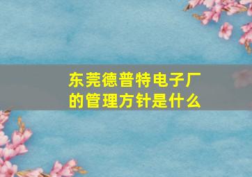 东莞德普特电子厂的管理方针是什么