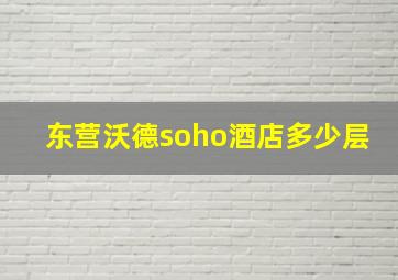 东营沃德soho酒店多少层