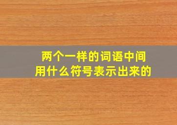 两个一样的词语中间用什么符号表示出来的