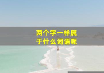 两个字一样属于什么词语呢