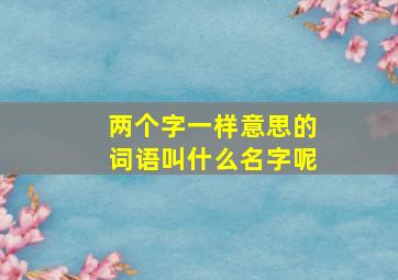 两个字一样意思的词语叫什么名字呢