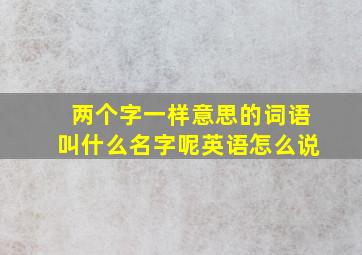 两个字一样意思的词语叫什么名字呢英语怎么说