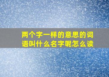 两个字一样的意思的词语叫什么名字呢怎么读