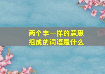 两个字一样的意思组成的词语是什么