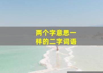 两个字意思一样的二字词语