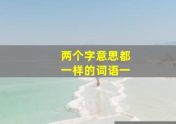 两个字意思都一样的词语一