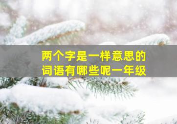 两个字是一样意思的词语有哪些呢一年级