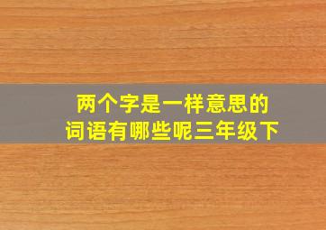 两个字是一样意思的词语有哪些呢三年级下