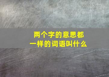 两个字的意思都一样的词语叫什么