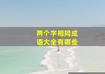 两个字相同成语大全有哪些