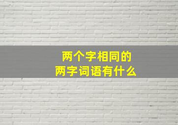 两个字相同的两字词语有什么