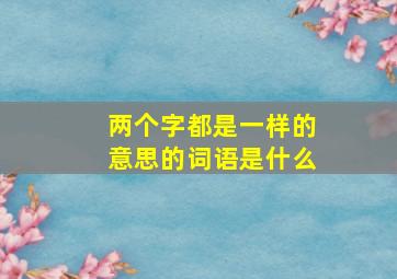 两个字都是一样的意思的词语是什么