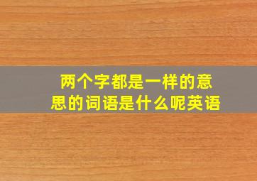 两个字都是一样的意思的词语是什么呢英语