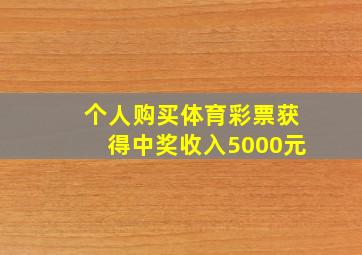 个人购买体育彩票获得中奖收入5000元