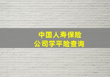 中国人寿保险公司学平险查询