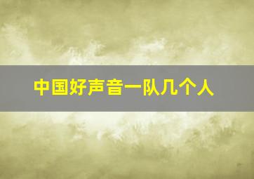 中国好声音一队几个人