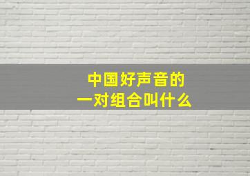 中国好声音的一对组合叫什么