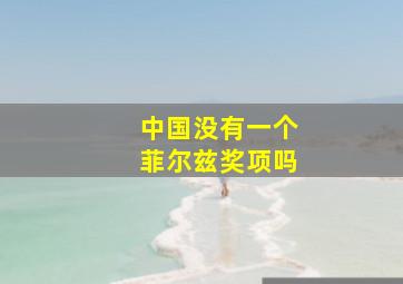 中国没有一个菲尔兹奖项吗