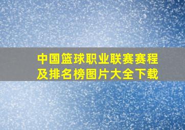 中国篮球职业联赛赛程及排名榜图片大全下载