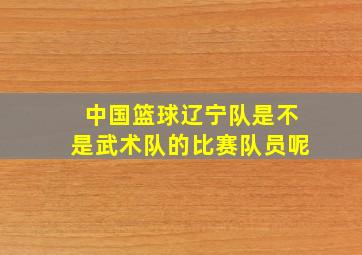 中国篮球辽宁队是不是武术队的比赛队员呢