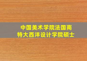 中国美术学院法国南特大西洋设计学院硕士