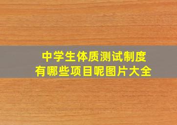 中学生体质测试制度有哪些项目呢图片大全