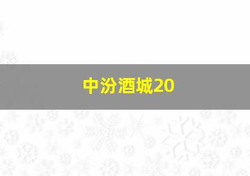 中汾酒城20