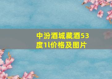 中汾酒城藏酒53度1l价格及图片