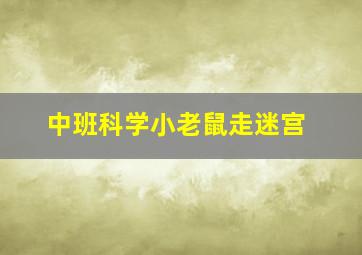 中班科学小老鼠走迷宫