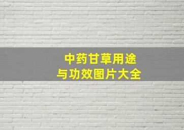 中药甘草用途与功效图片大全