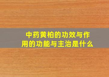 中药黄柏的功效与作用的功能与主治是什么