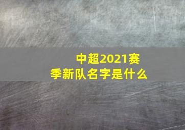 中超2021赛季新队名字是什么