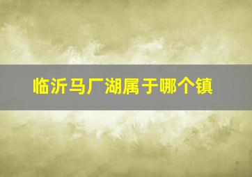 临沂马厂湖属于哪个镇