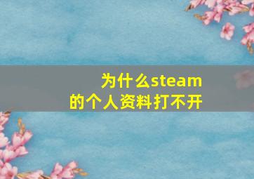 为什么steam的个人资料打不开