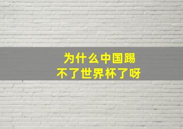 为什么中国踢不了世界杯了呀