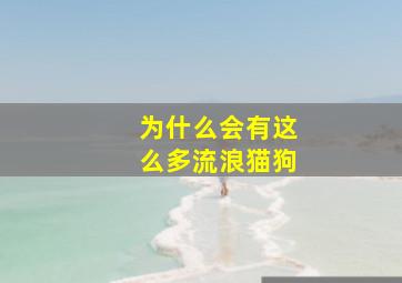 为什么会有这么多流浪猫狗