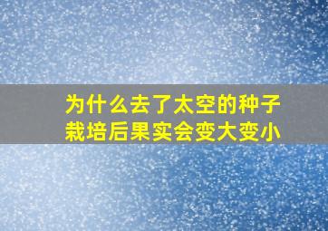 为什么去了太空的种子栽培后果实会变大变小