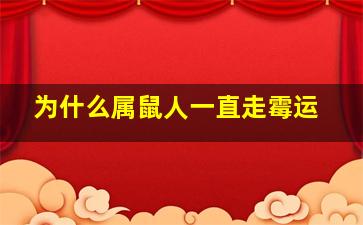 为什么属鼠人一直走霉运